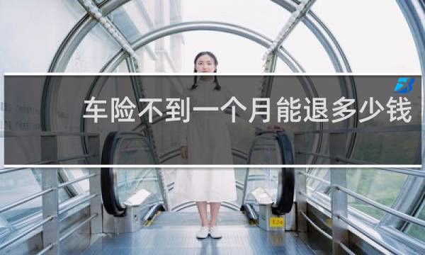 车险不到一个月能退多少钱