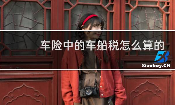 车险中的车船税怎么算的