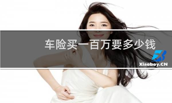车险买一百万要多少钱