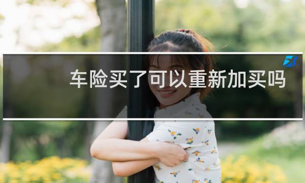 车险买了可以重新加买吗