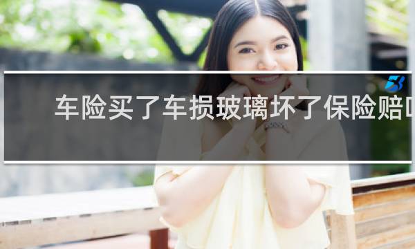 车险买了车损玻璃坏了保险赔吗