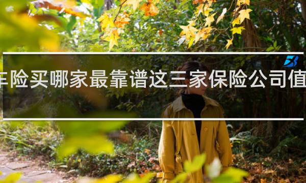 车险买哪家最靠谱这三家保险公司值得推荐