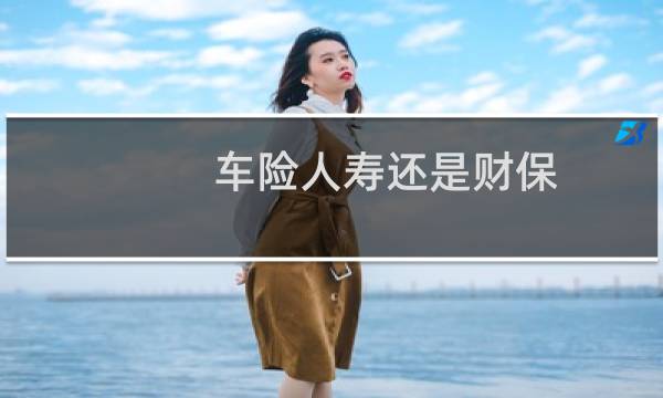 车险人寿还是财保
