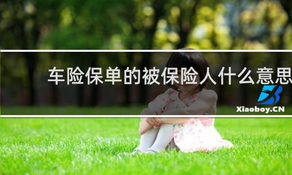 车险保单的被保险人什么意思