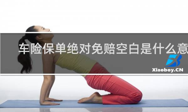 车险保单绝对免赔空白是什么意思