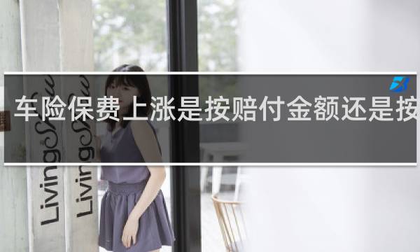 车险保费上涨是按赔付金额还是按次数