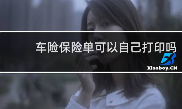 车险保险单可以自己打印吗