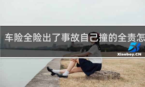 车险全险出了事故自己撞的全责怎么赔