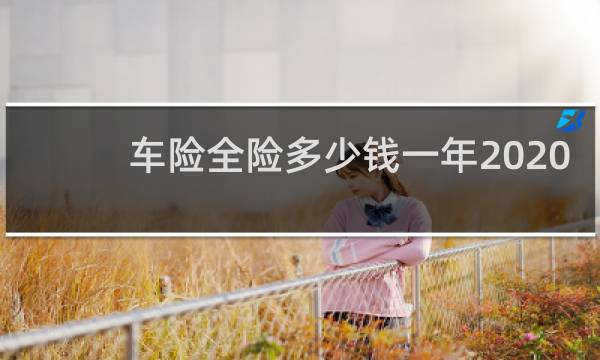 车险全险多少钱一年2020