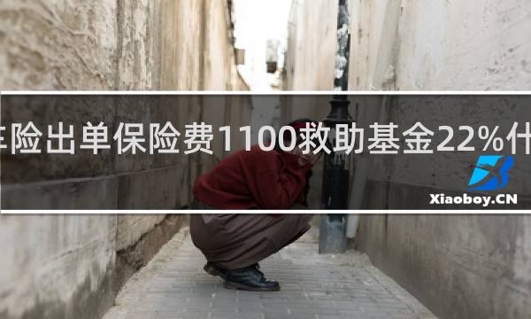 车险出单保险费1100救助基金22%什么意思
