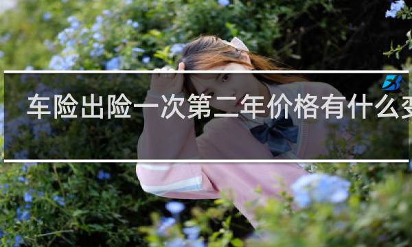 车险出险一次第二年价格有什么变化