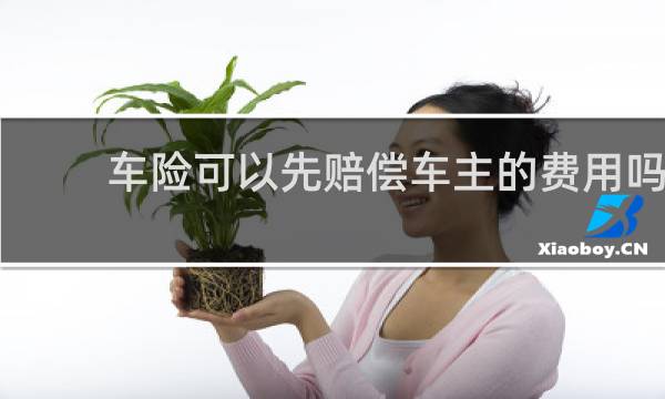 车险可以先赔偿车主的费用吗