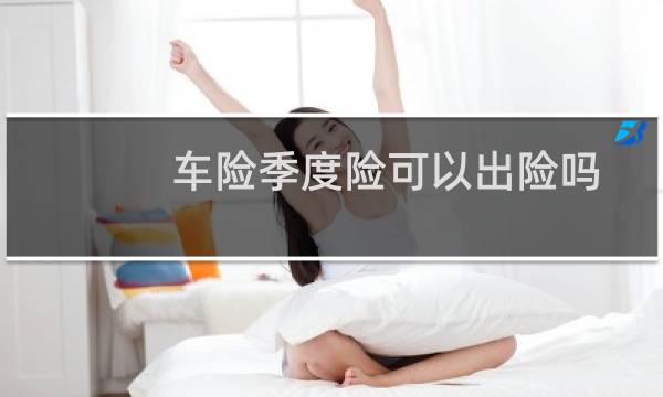 车险季度险可以出险吗