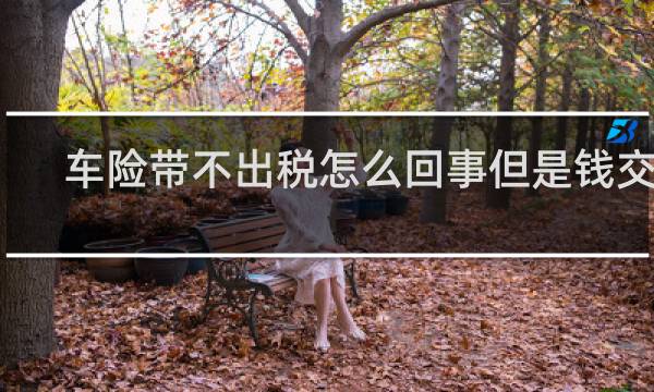 车险带不出税怎么回事但是钱交了