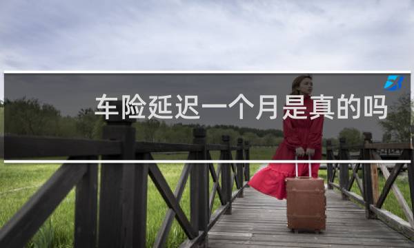 车险延迟一个月是真的吗
