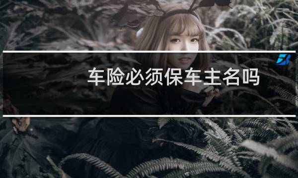 车险必须保车主名吗
