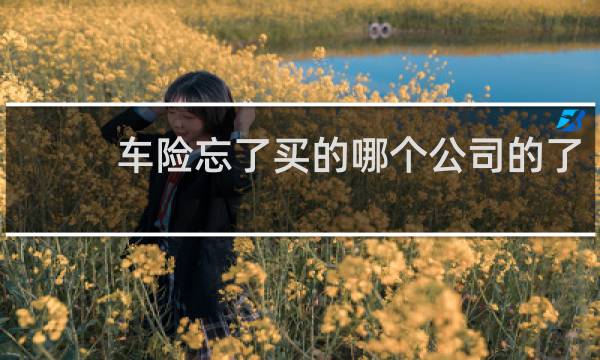 车险忘了买的哪个公司的了