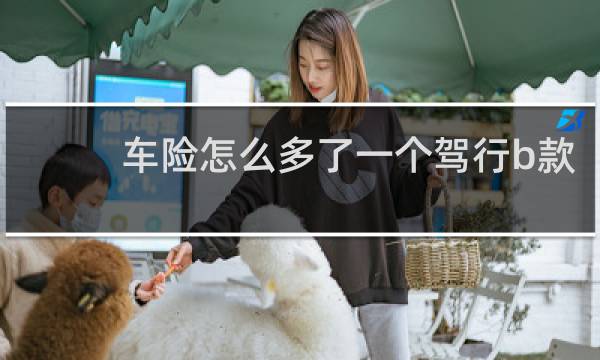 车险怎么多了一个驾行b款