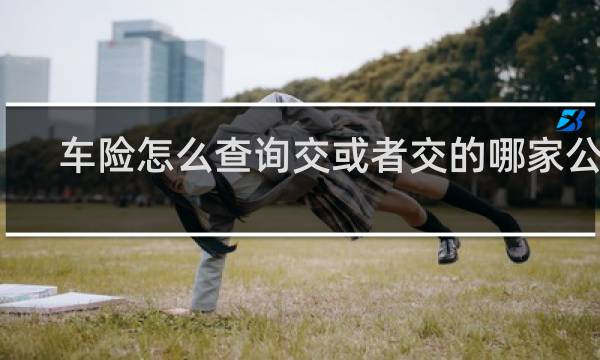 车险怎么查询交或者交的哪家公司