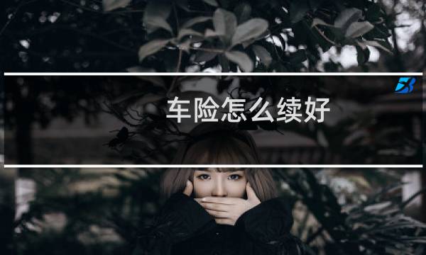 车险怎么续好