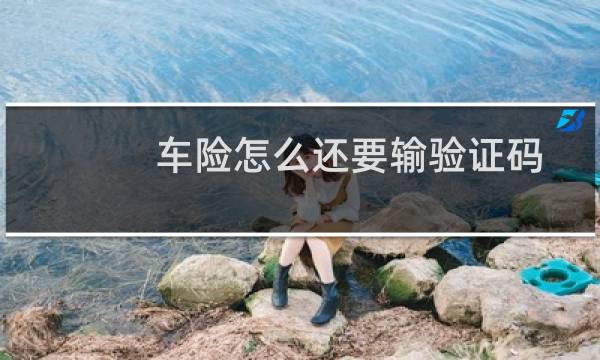 车险怎么还要输验证码