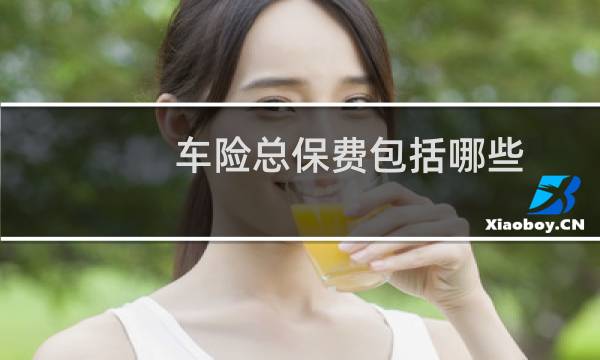 车险总保费包括哪些