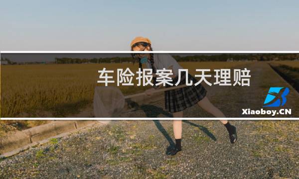 车险报案几天理赔