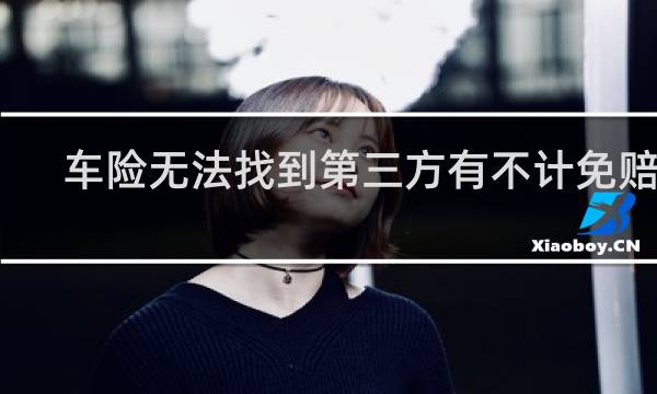 车险无法找到第三方有不计免赔吗