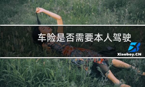 车险是否需要本人驾驶