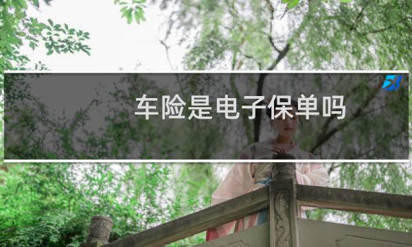 车险是电子保单吗