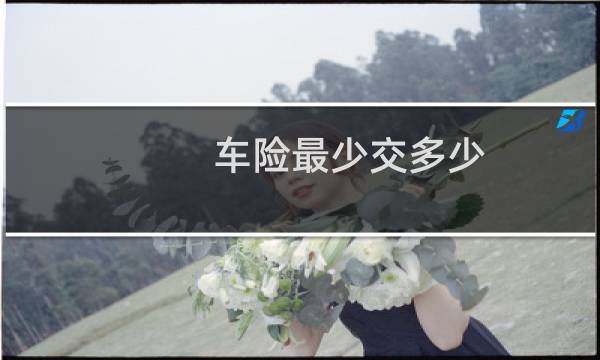 车险最少交多少