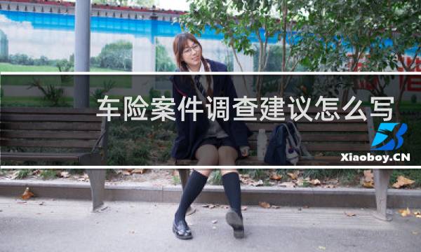 车险案件调查建议怎么写