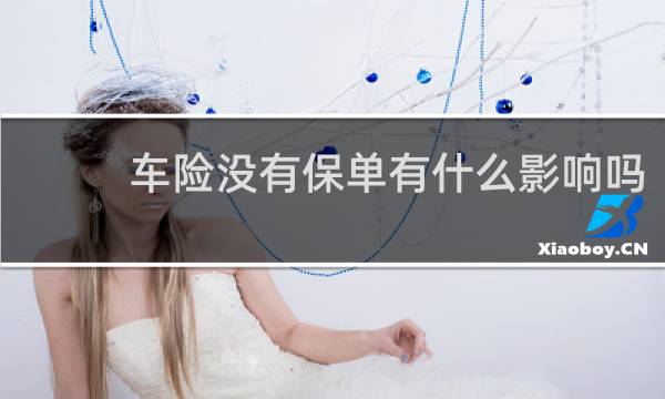 车险没有保单有什么影响吗