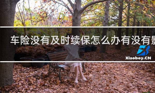 车险没有及时续保怎么办有没有影响