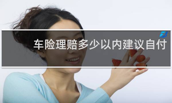 车险理赔多少以内建议自付