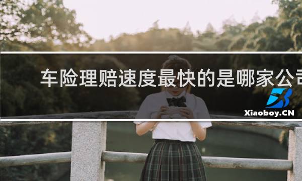 车险理赔速度最快的是哪家公司
