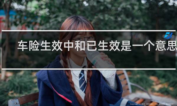 车险生效中和已生效是一个意思吗