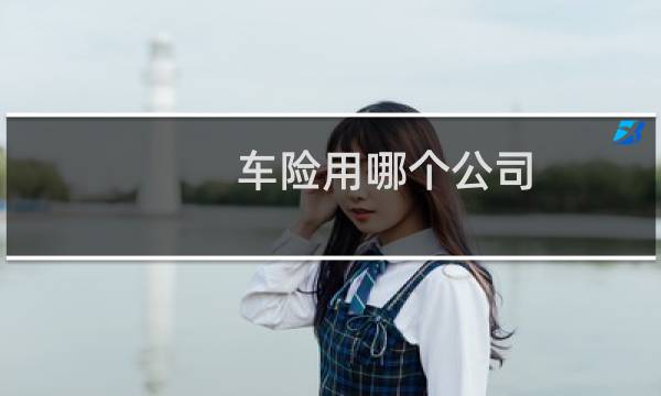 车险用哪个公司