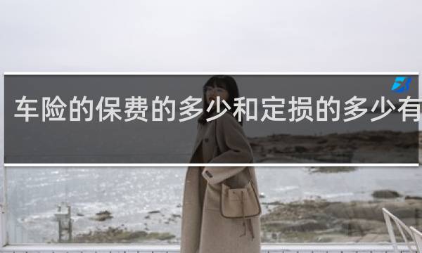 车险的保费的多少和定损的多少有关吗