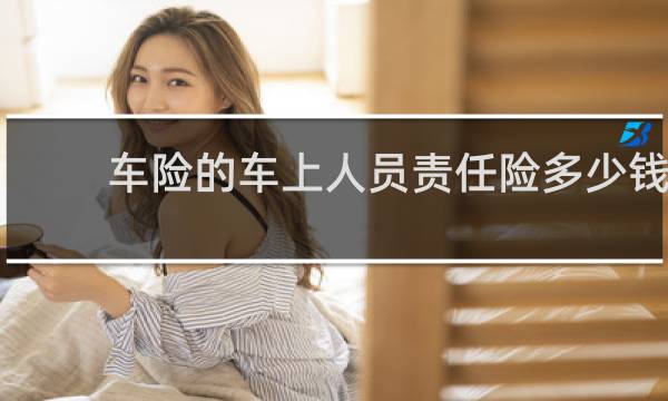 车险的车上人员责任险多少钱
