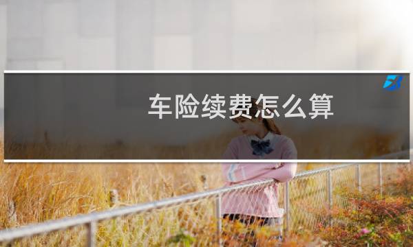 车险续费怎么算