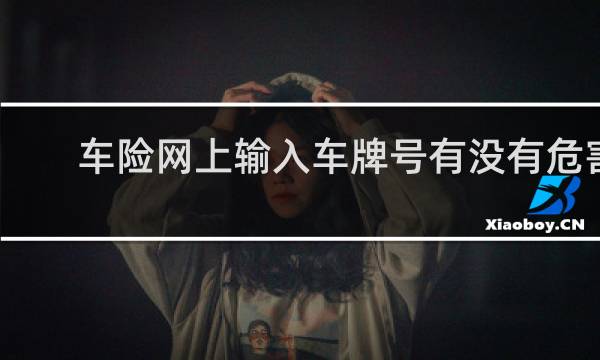 车险网上输入车牌号有没有危害