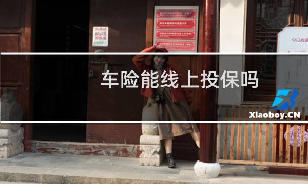 车险能线上投保吗