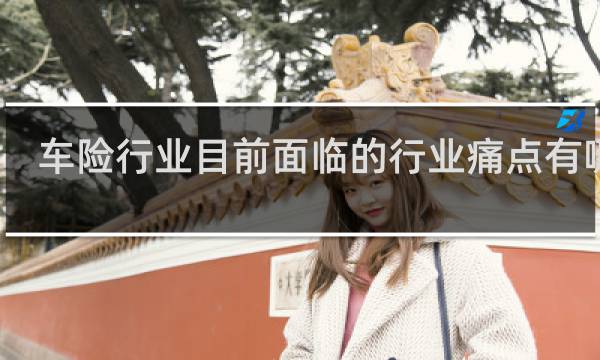 车险行业目前面临的行业痛点有哪些
