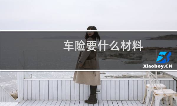 车险要什么材料