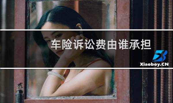 车险诉讼费由谁承担