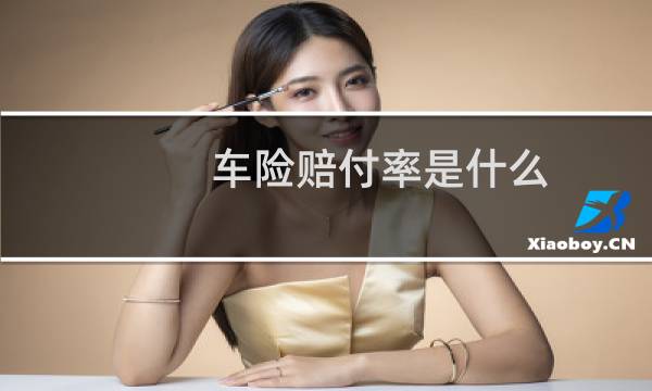 车险赔付率是什么