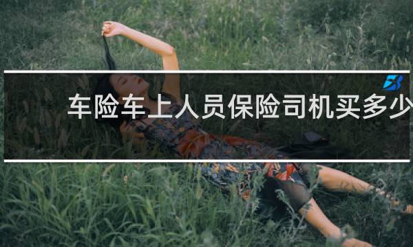 车险车上人员保险司机买多少