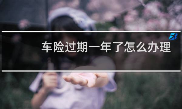 车险过期一年了怎么办理