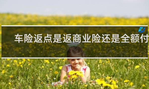 车险返点是返商业险还是全额付款